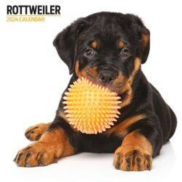 Dog - Rottweiler Calendar Modern30x30cm