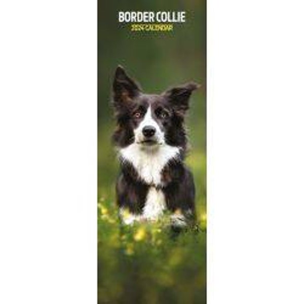 Dog -Border Collie Slim Calendar 15 X 42 CM