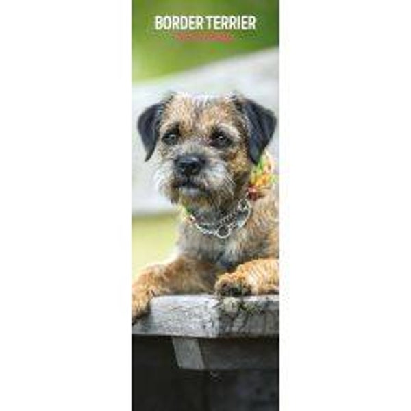 Dog -Border Terrier Slim Calendar 15X42CM