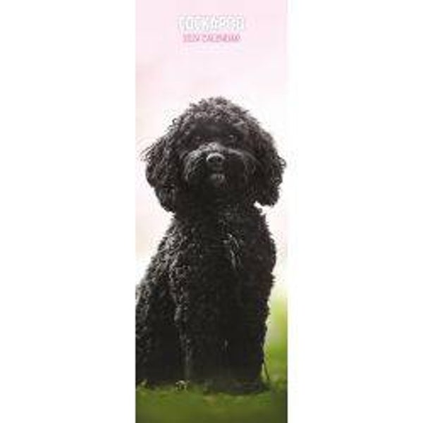 Dog -Cockapoo Slim Calendar 15x42cm
