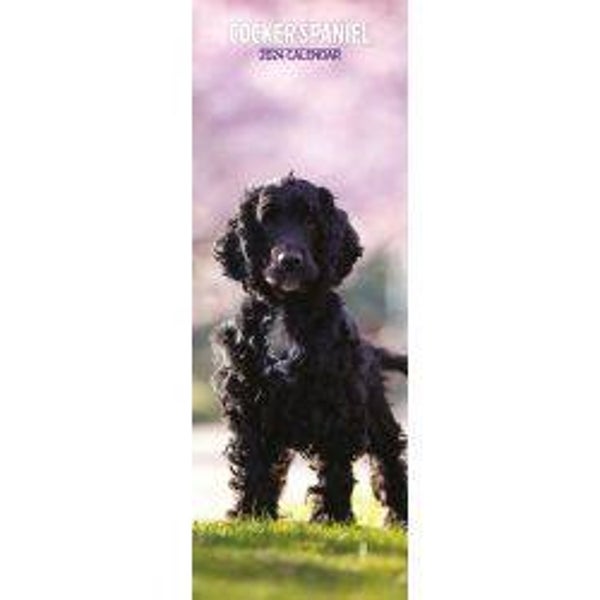 Dog -Cocker Spaniel Slim Calendar 15x42cm