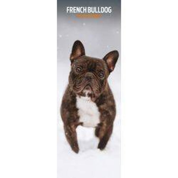 Dog - French Bulldog Slim Calendar 15x42cm