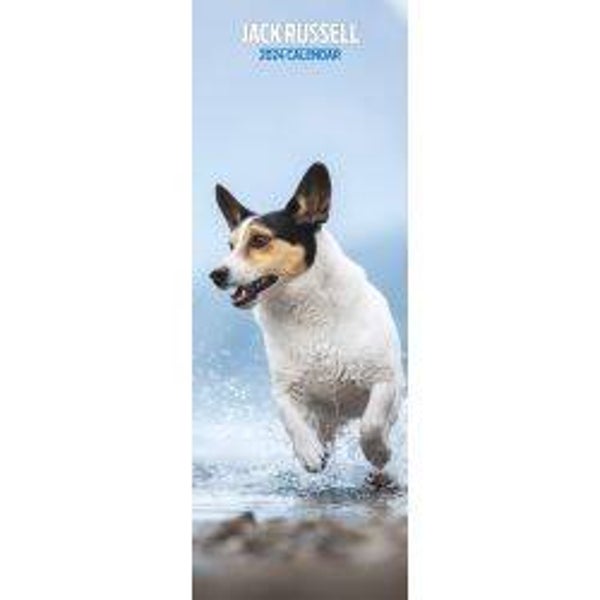 Dog -Jack Russell Calendar Slim 15x42cm