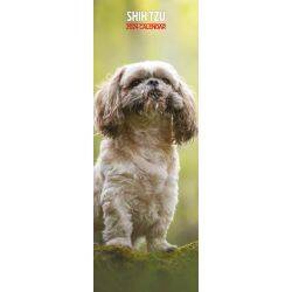 Dog - Shin Tzu Calendar Slim 15x42cm