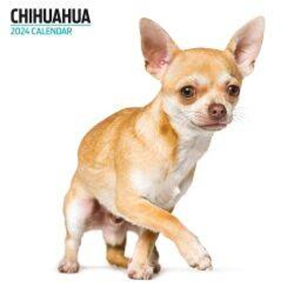 Dog -Chihuahua Calendar Modern 30x30cm