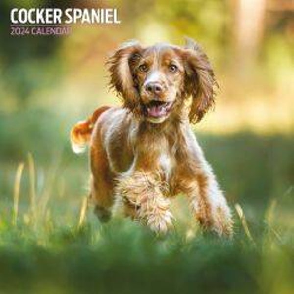 Dog -Cocker Spaniel Traditional 30x30cm
