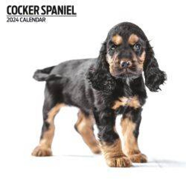 Dog -Cocker Spaniel Calendar Modern 30x30cm