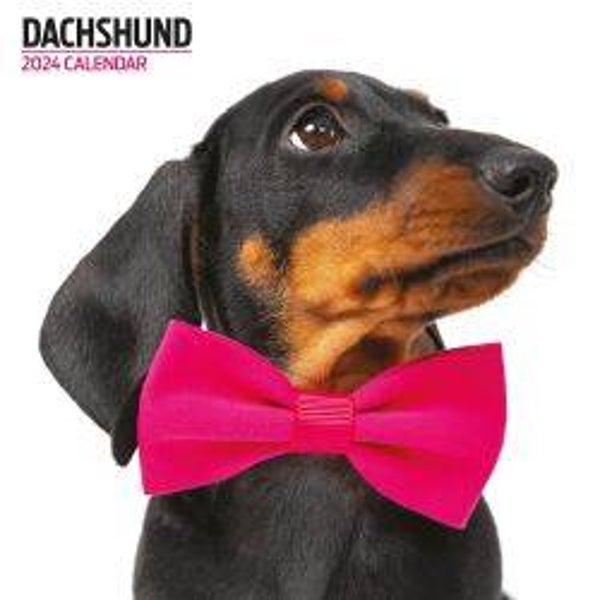 Dog -Dachshund Calendar Modern 30x30cm