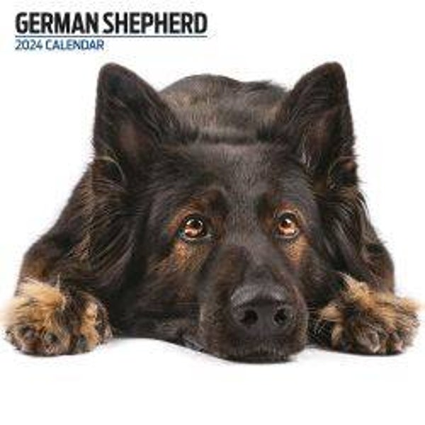 Dog -German Shepherd Calendar 30x30cm