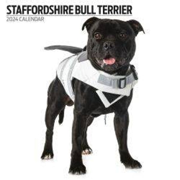 Dog - Staffordshire Bull Terrier Calendar 30x30cm