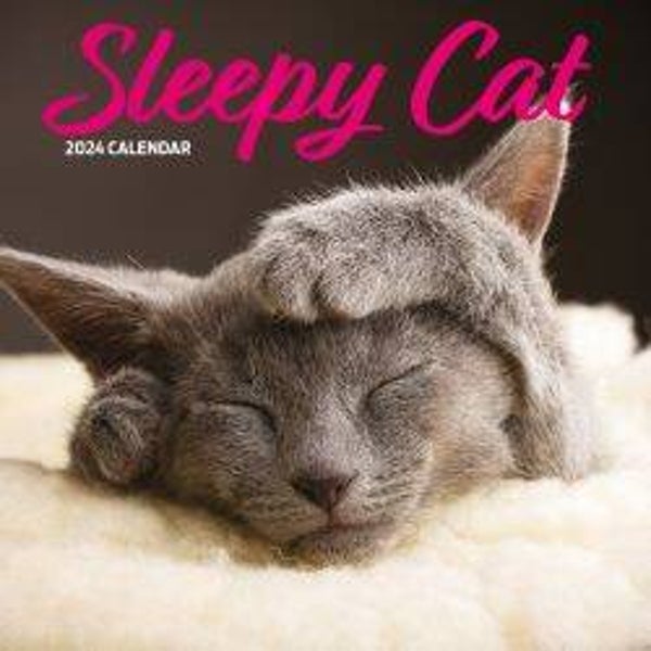 Cat -Sleepy Calendar Traditional 30x30cm