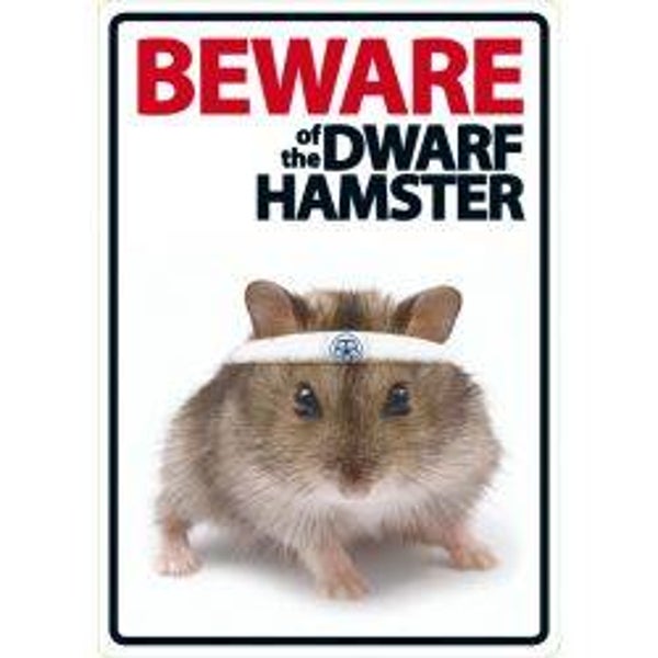 Beware Of The Dwarf Hamster A5