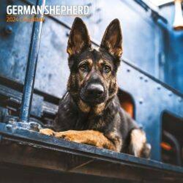 Dog -German Shepherd Traditional Calendar 30x30cm