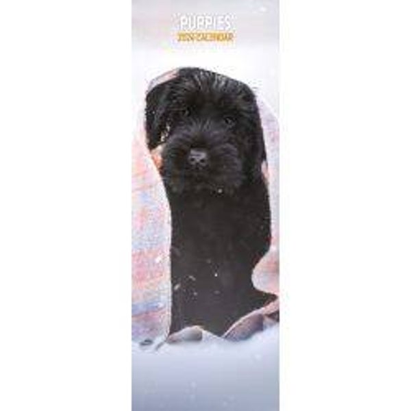 Puppy - Slim Calendar 15x42cm
