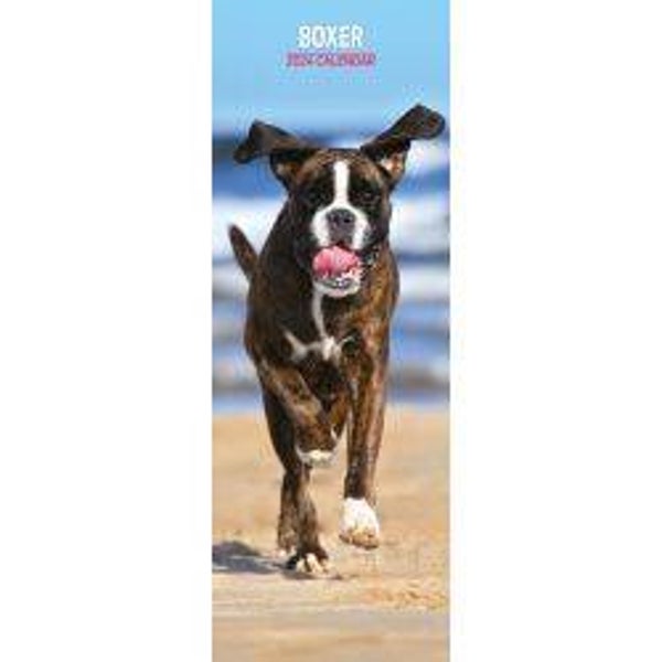 Dog -Boxer Calendar Slim 15X42cm