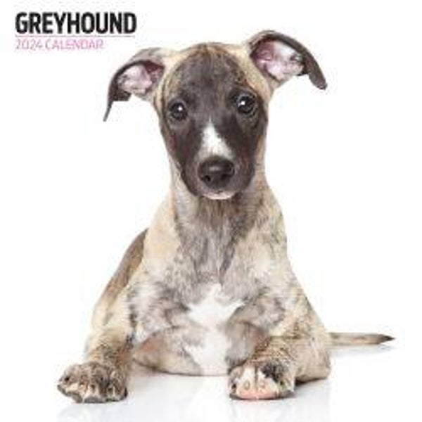 Dog -Greyhound Calendar Modern  30x30cm