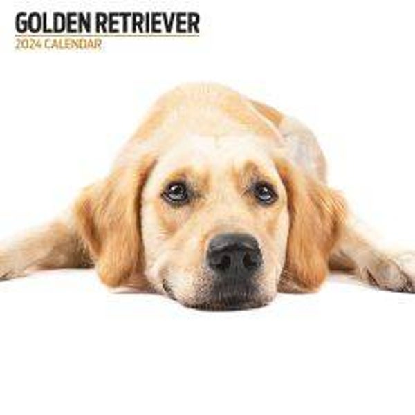 Dog -Golden Retriever Calendar Modern 30x30cm