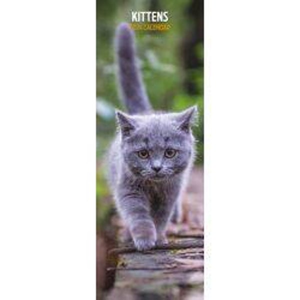Kittens - Calendar Slim 15x42cm