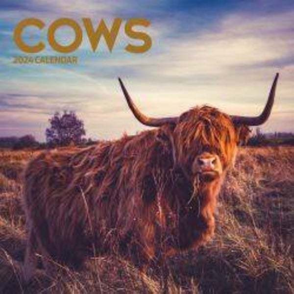 Cows -Traditional Calendar 30x30cm