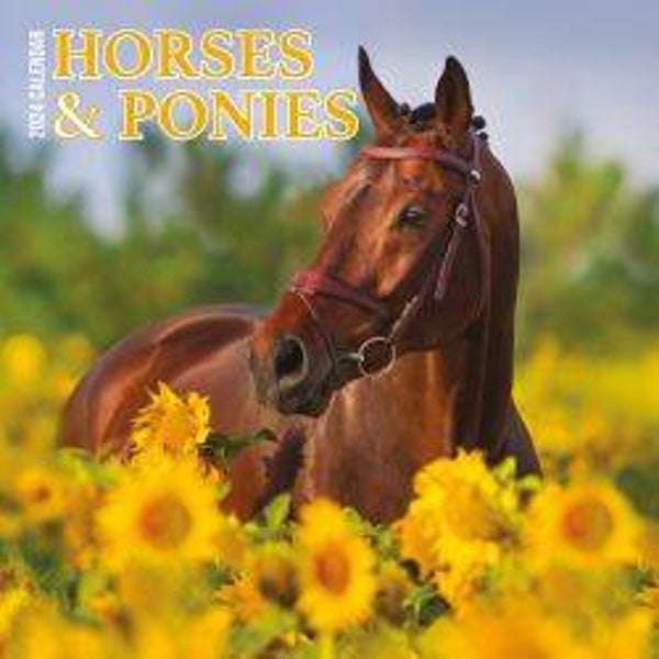 Horses & Ponies -Traditional Calendar 30x30cm