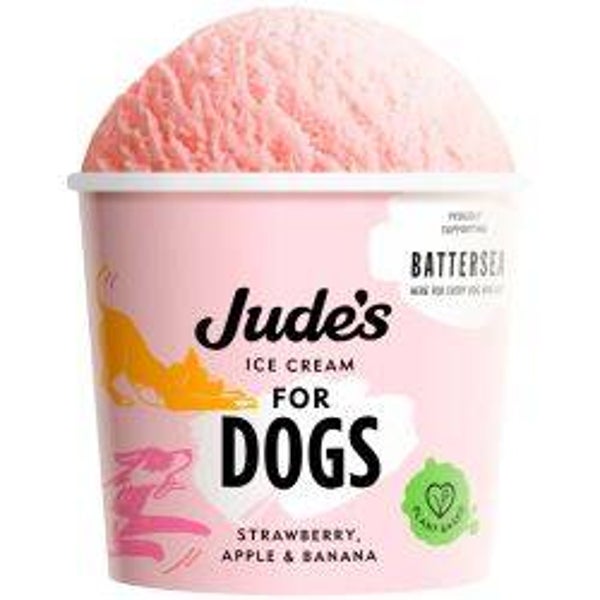 Dog Jude's Ice Cream Bones 4pk 45ml