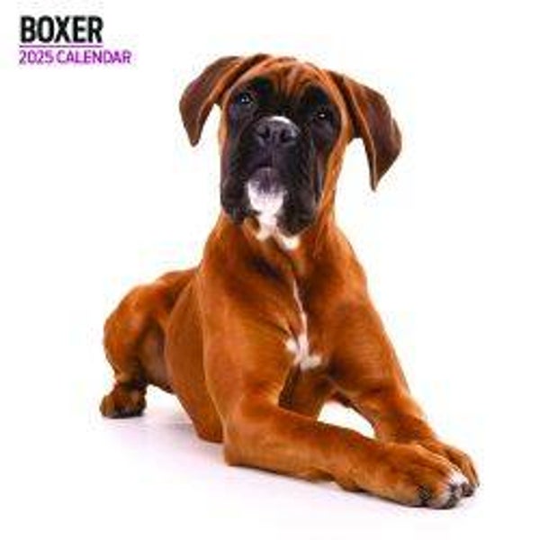 Dog- Boxer Calendar Modern 30 x 30 cm