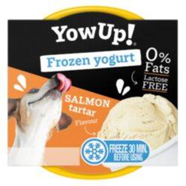 Yowup Frozen Yogurt Salmon 110g