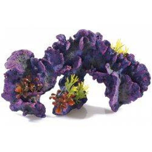 Fish Classic Coral Garden Large