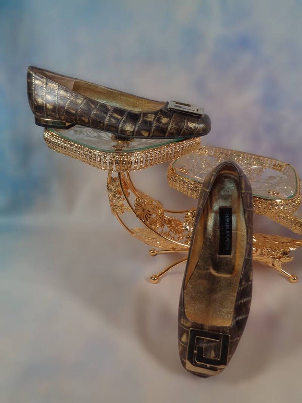 PA540 : Ballerines Charles Jourdan P.35