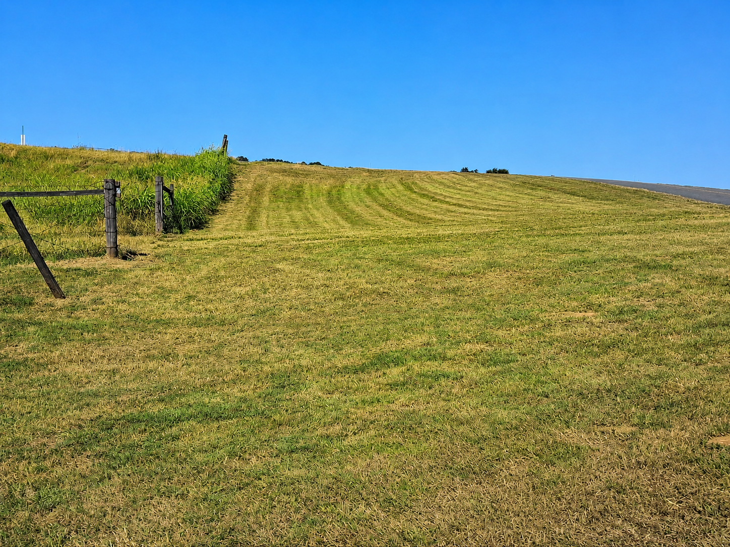 a852c218-4523-431d-a54d-296f0ade6360-standard.png