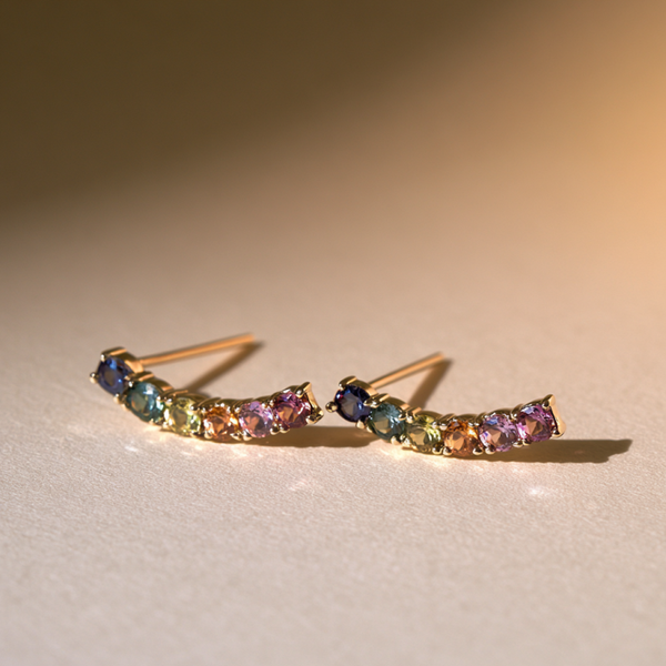 Rainbow Ombre Climber Earrings
