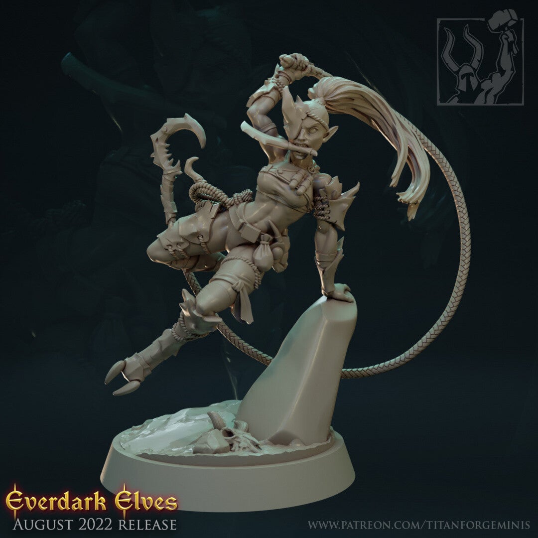 TOW - Everdark Elves - Assassin Elfe Noir