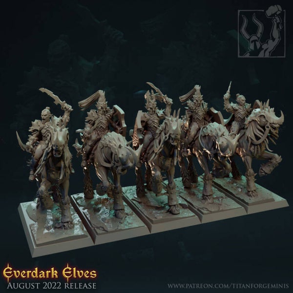 TOW - Everdark Elves - Cavaliers Elfes Noirs