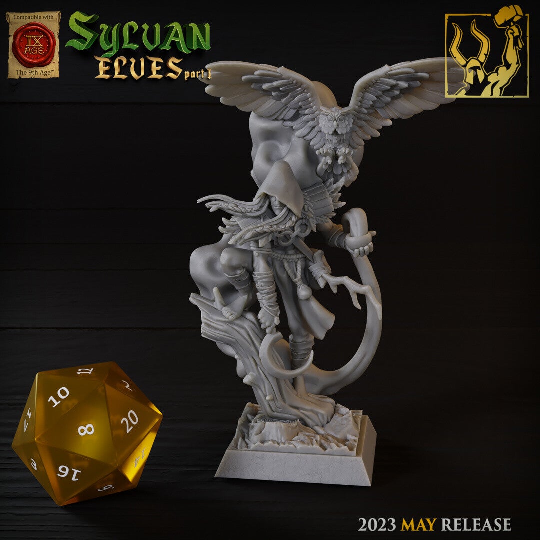 TOW - Elfes Sylvains - Druide Sylvain