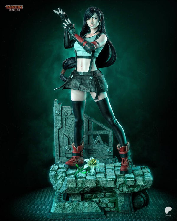 Figs Collector - Fullsize - Tifa