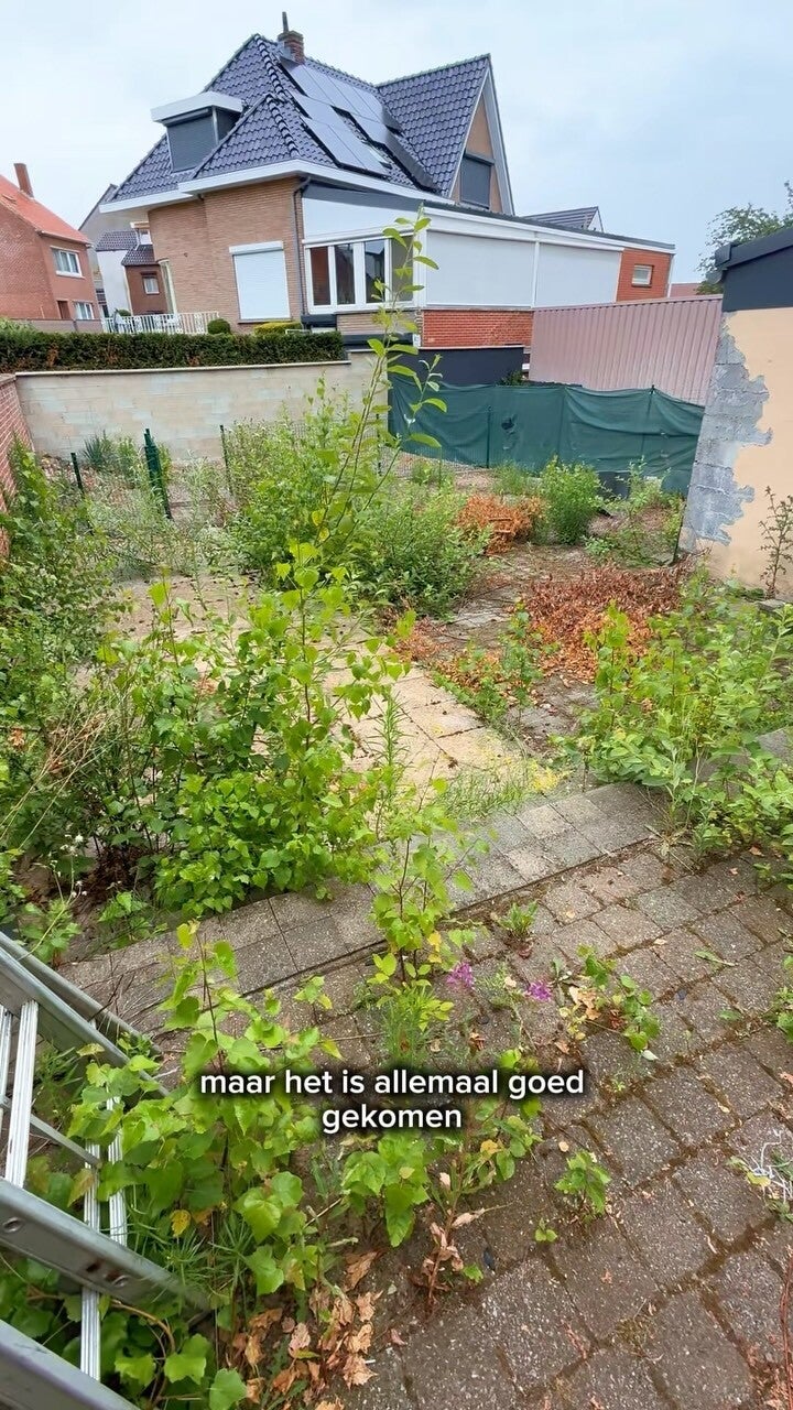 Onkruid verwijderen tussen tegels in een tuin
