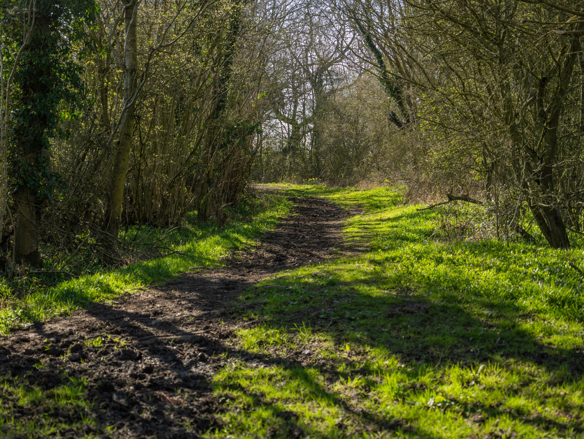 The quite Path · Quite Places · Edition 1/1