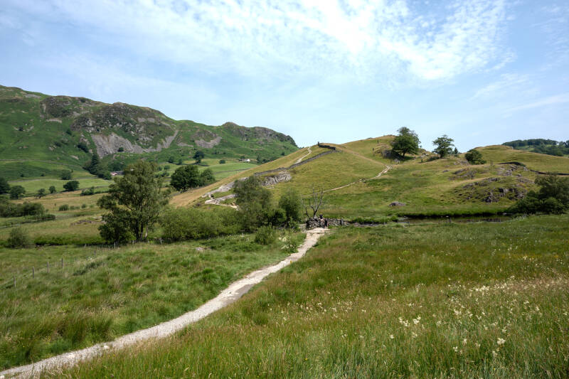 dsc_2903-copy-standard.jpg