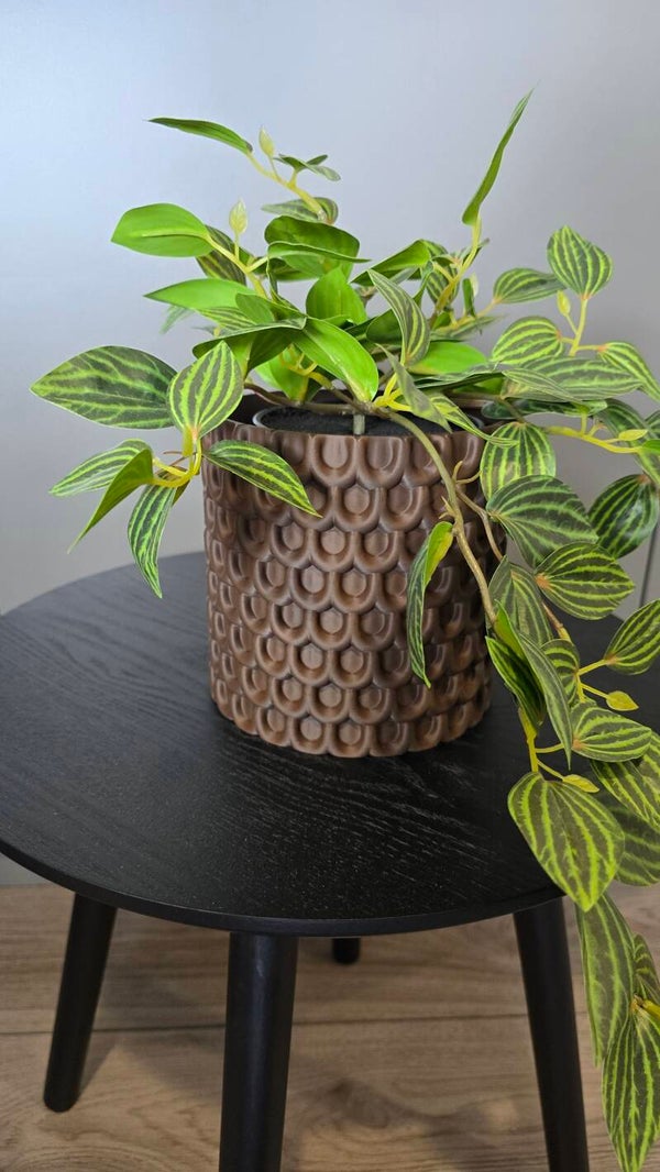 planter Luna Terra