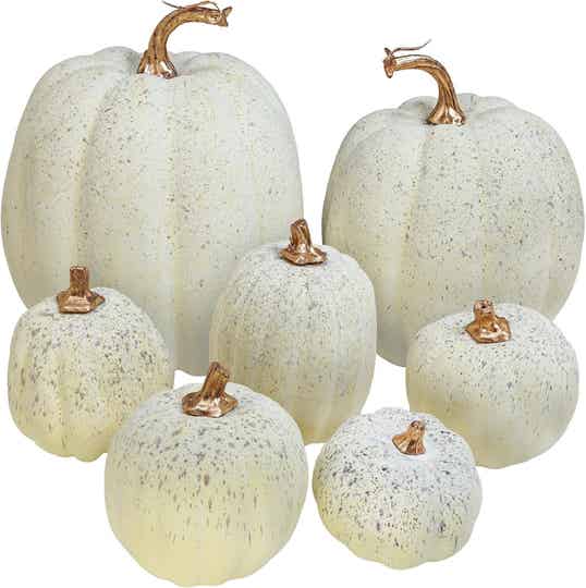 Assorted pumpkin decor