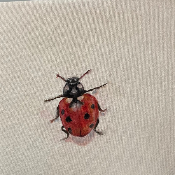 Ladybug