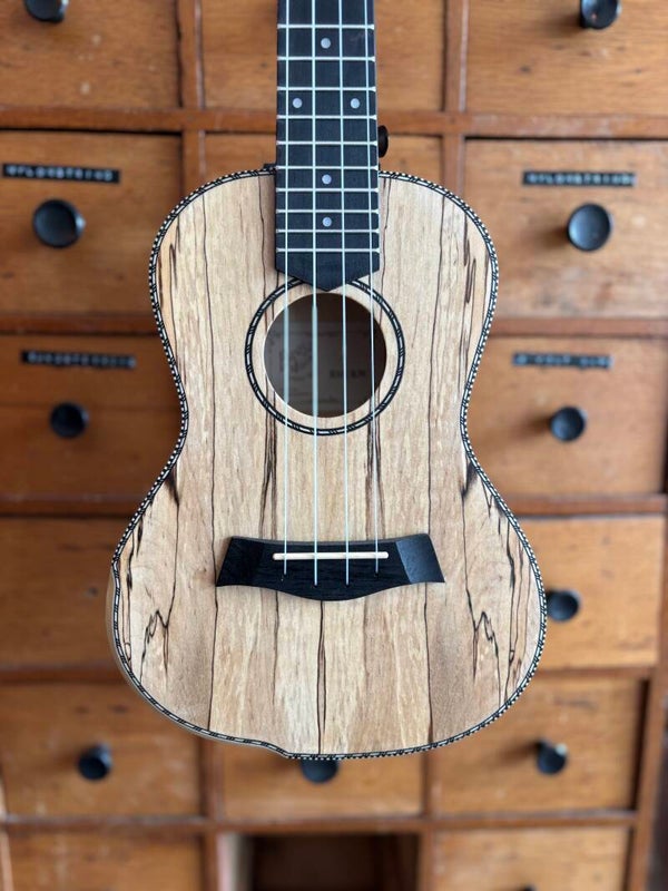 Barnes and Mullins Concert Spalted Maple