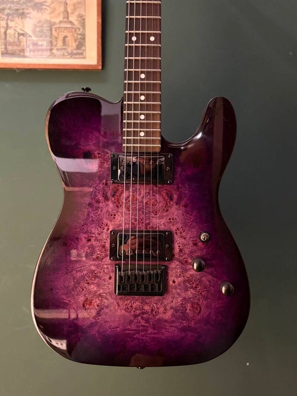 SCHECTER PT Standard, Purple Burst Burl