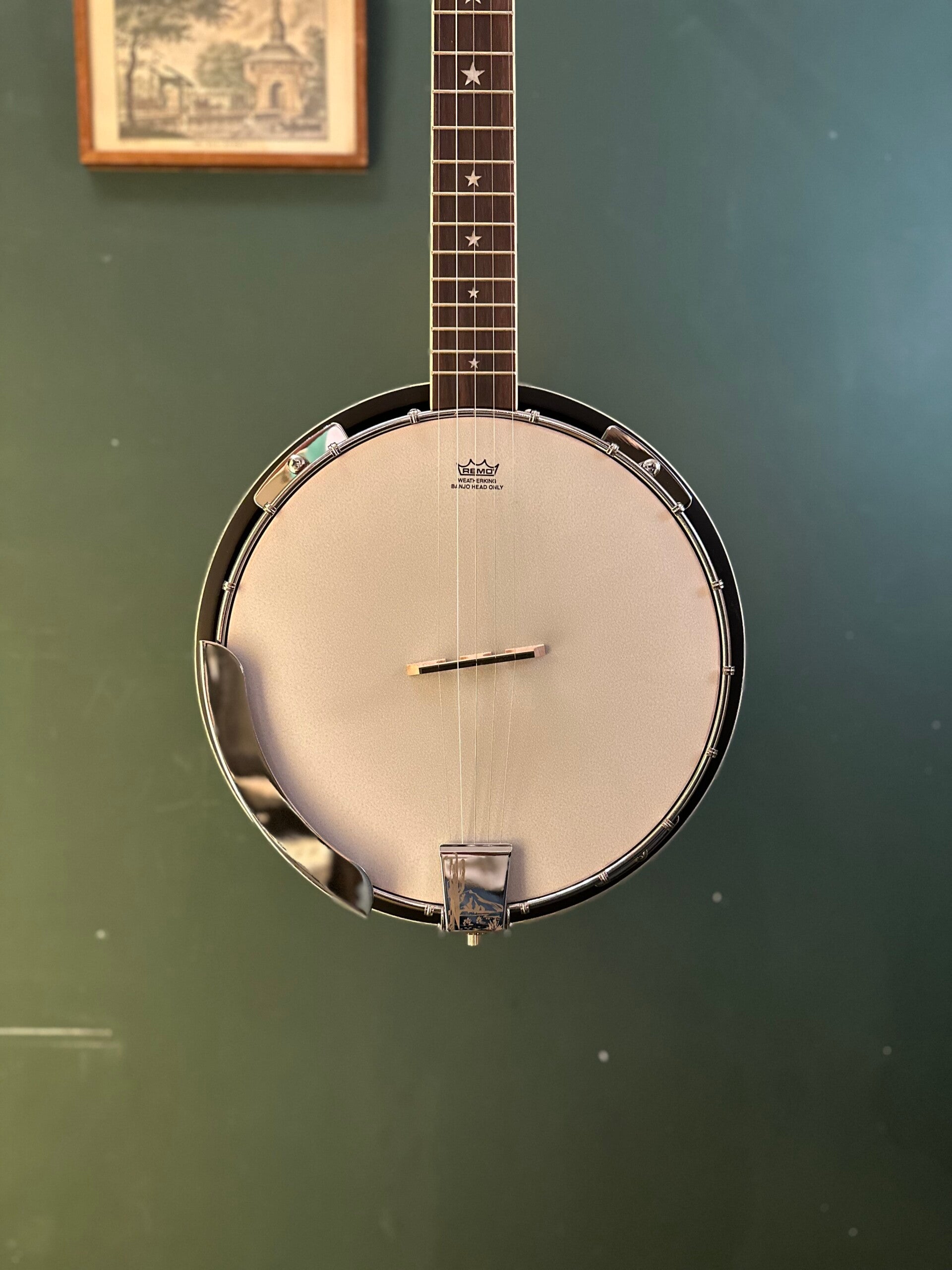 Stagg Mandoline M20