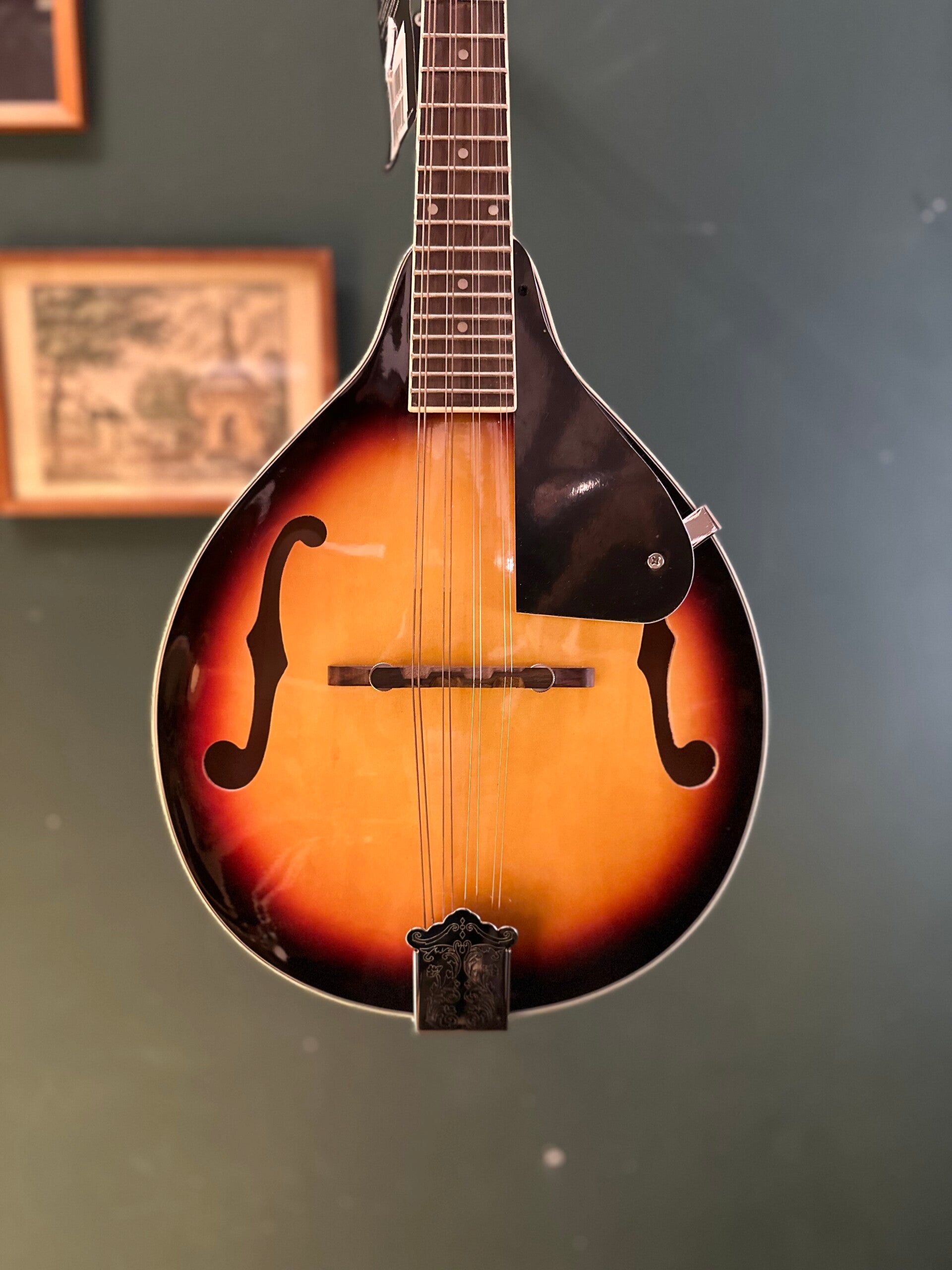 SX BJ405 5-Snarige Banjo