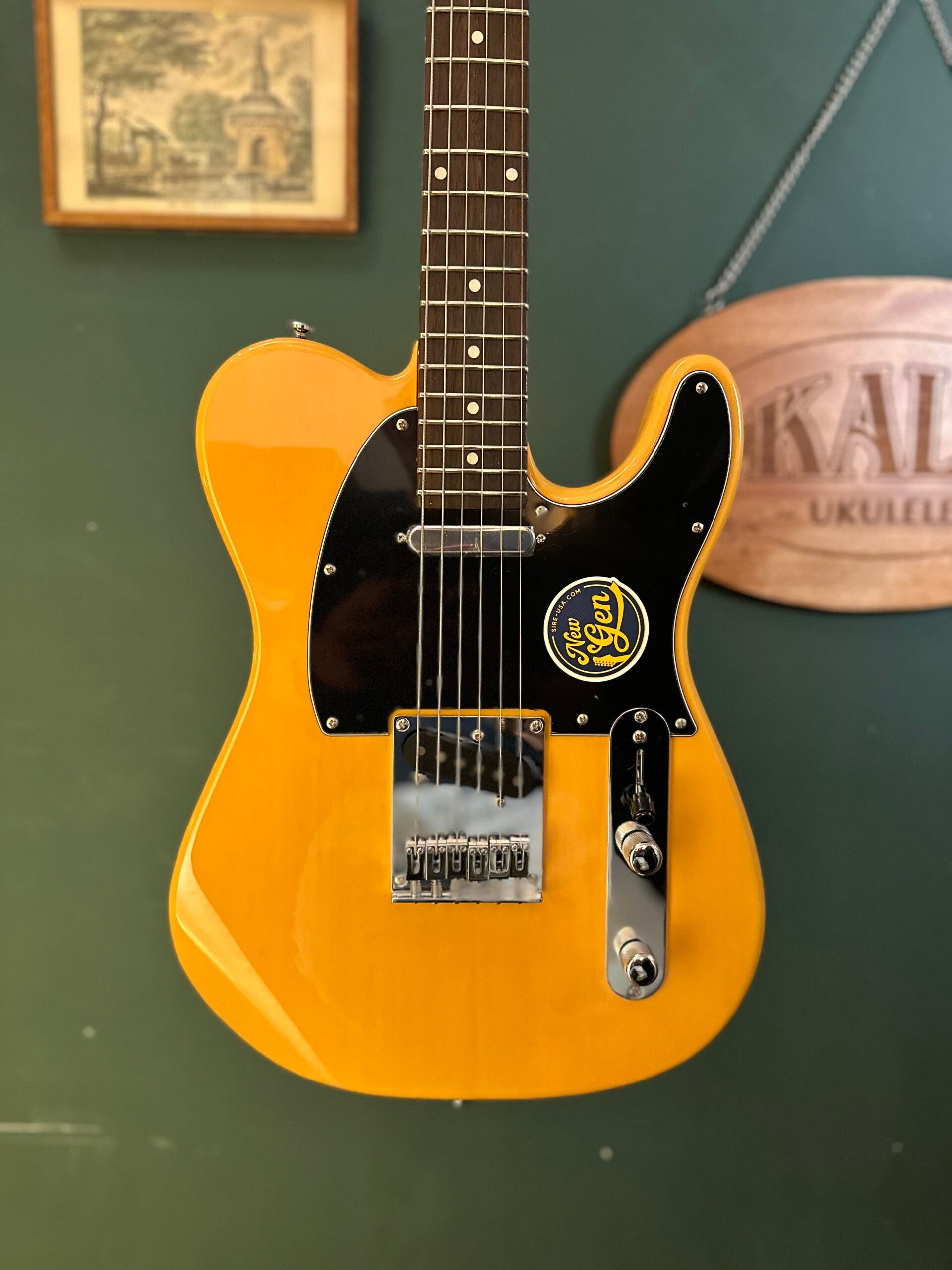 T3N/BSB |Sire T Series Larry Carlton electric guitar T-style butterscotch blonde