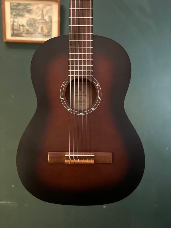ORTEGA Student Series Pro 4/4 Solid Spruce / Catalpa Bourbon Fade R55BFT