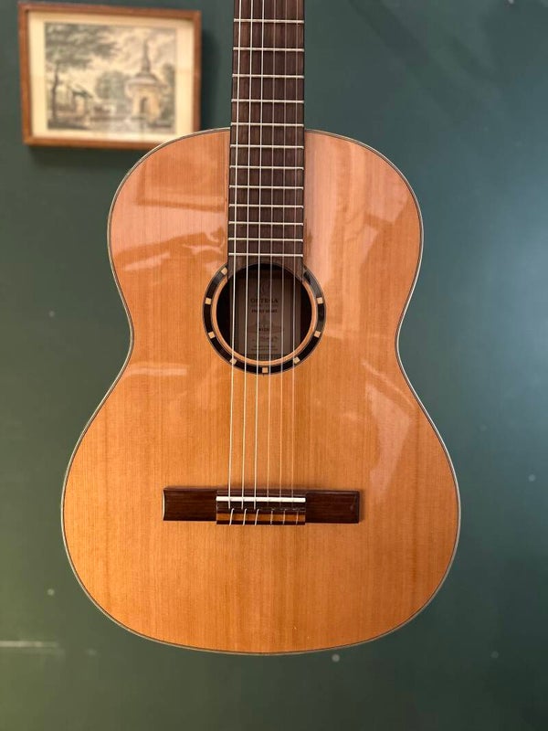 ORTEGA Family Series 4/4 Cedar / Mahogany Gloss Natural + Gigbag