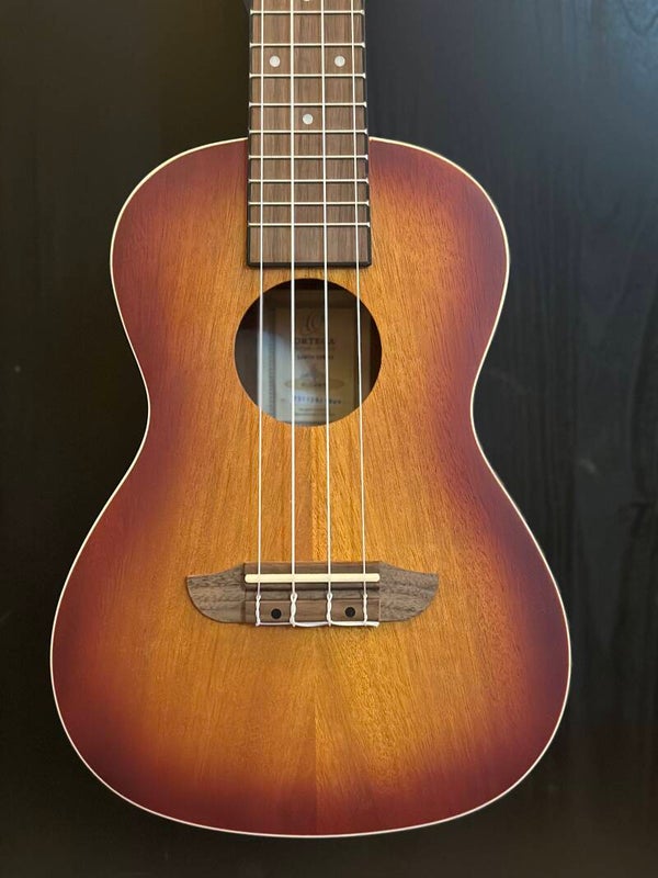 ORTEGA Earth Series Concert Ukulele 4 String - Sunburst