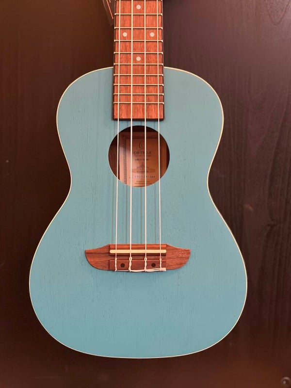 ORTEGA Earth Series Concert Ukulele 4 String - Lagoon